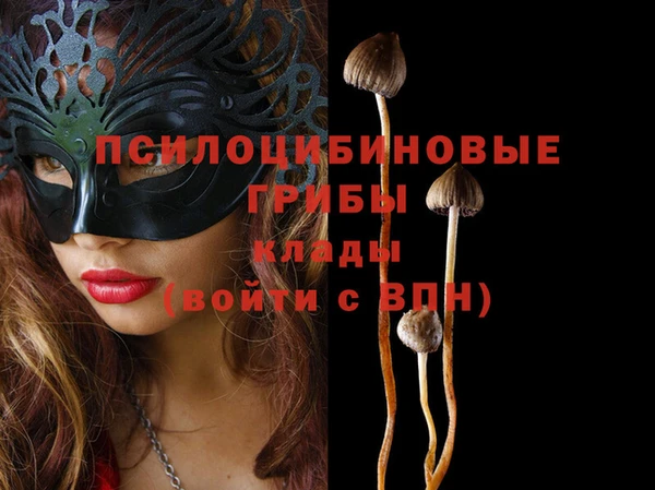 молекула духа Зеленокумск