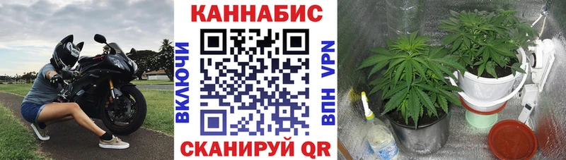 Купить  Истра  Марихуана Amnesia 
